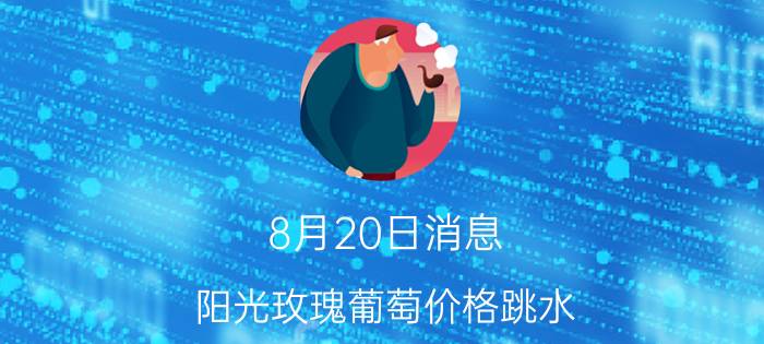 8月20日消息 阳光玫瑰葡萄价格跳水 现在价格是多少